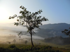 Nepal Countryside